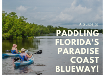 A guide to paddling Florida's Paradise Coast Blueway. Photo by Jennifer Brinkman. Must Do Visitor Guides, MustDo.com.