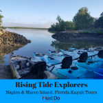 Join the professional biologists of Rising Tide Explorers on a kayaking adventure through mangroves and Rookery Bay in Naples and Marco Island, Florida.