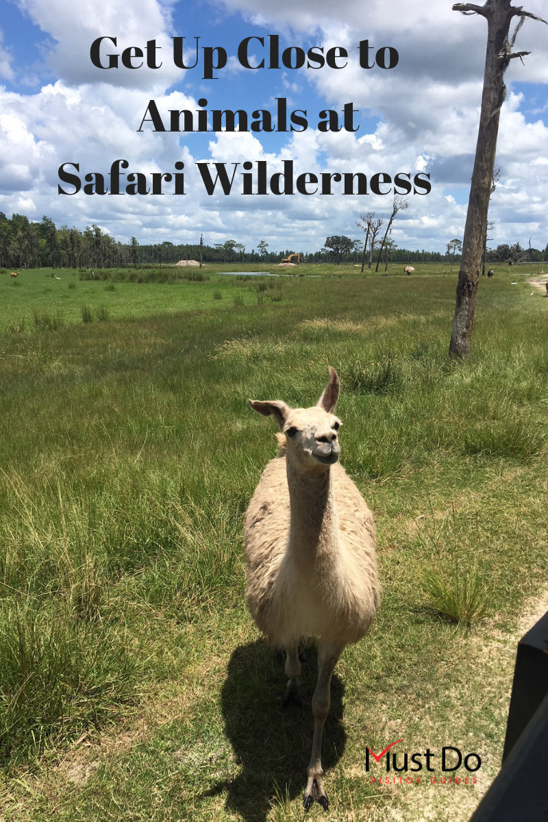 Safari Wilderness in Lakeland, Florida is an easy day trip from Sarasota. What to expect when you visit. Must Do Visitor Guides | MustDo.com