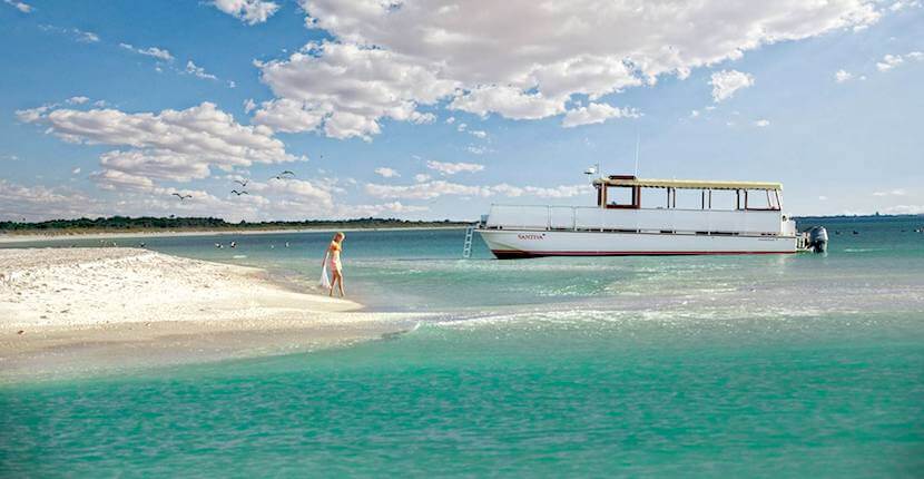 Captiva Cruises sightseeing, sunset sailing, and wildlife tour boat cruises around Boca Grande, Cayo Costa, Sanibel and Captiva Island, Florida. Must Do Visitor Guides | MustDo.com
