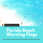 Must Do Visitor Guides Florida Beach Warning Flags Infographic. Learn all about Florida’s beach warning flags and what they mean. | MustDo.com