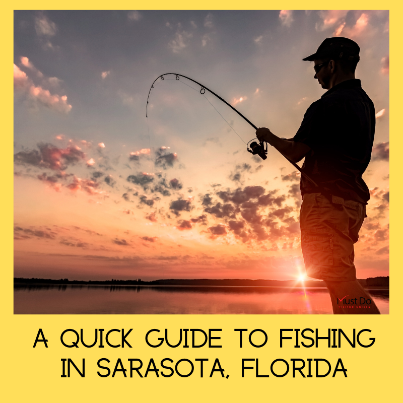 A Quick Guide to Fishing in Sarasota, Florida. Sarasota anglers have a wide variety of fishing opportunities. Get the basics of where to fish, bait, license, types of fish available, fishing guides and charters. | Must Do Visitor Guides