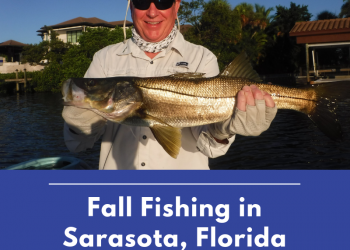 Man shows off his catch. Fall is an excellent time to visit Sarasota, Florida for a fishing trip. Here is where to fish and what you can expect to catch. Must Do Visitor Guides