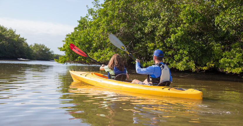 Siesta Key kayak rentals and tours with Ride & Paddle in Siesta Key, Florida