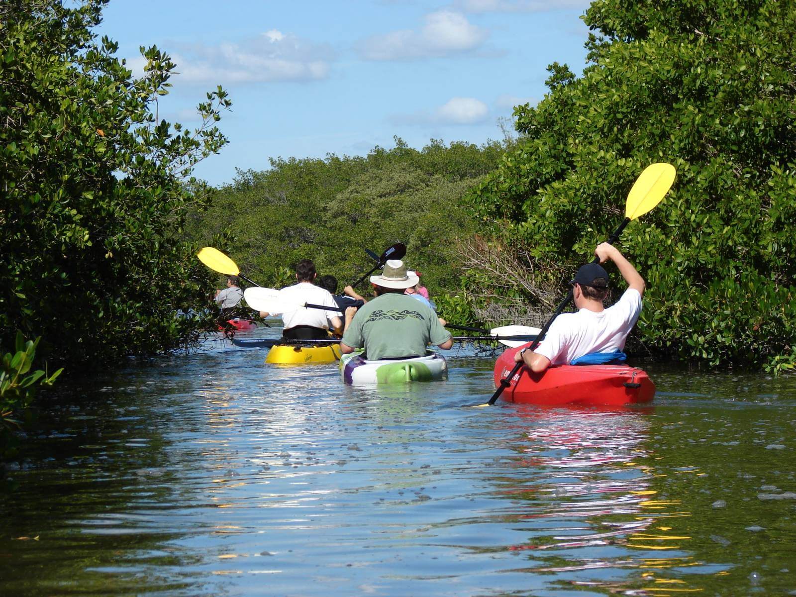 Rent a kayak or paddle through mangroves & Little Sarasota Bay before stopping at a secluded Gulf of Mexico Beach on a guided kayak tour in Siesta Key, Florida with Ride and Paddle. 