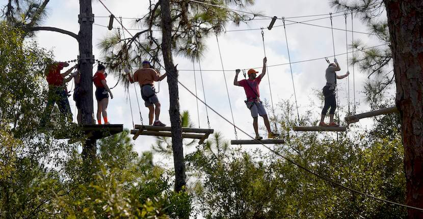 TreeUmph! Southwest Florida’s first treetop adventure park with obstacle course and zipline. Test your skills on wobbly bridges, swinging from ropes, or take a ride along a 650-foot-long ZIP line. Sarasota, Florida activities. Must Do Visitor Guides, MustDo.com.