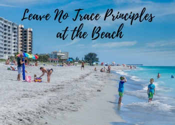 Leave No Trace Principals at the Beach. Must Do Visitor Guides Southwest Florida Travel. A handy guide on how to minimize your impact while at the beach so the Naples, Fort Myers, and Sarasota Florida coastline will stay a beautiful natural place.