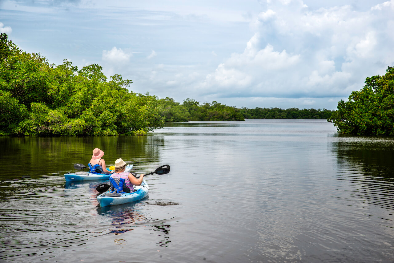 Southwest Florida’s Great Calusa Blueway provides paddlers with 190 miles of waymarked kayaking trails through unspoiled waterways teaming with wildlife. Photo by Jennifer Brinkman. Must Do Visitor Guides | MustDo.com