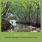Lido Key Mangrove Tunnels Kayak Tour Sarasota, Florida. Take a Kayaking SRQ guided eco tour of the mangrove tunnels at Ted Sperling Park at South Lido Key in Sarasota, Florida. A favorite tour for all ages—great for the beginner or experienced paddler. Photo credit Andrew Fabian. Must Do Visitor Guides | MustDo.com