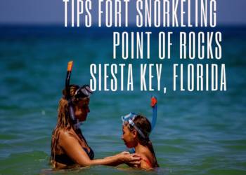 Tips for snorkeling at Point of Rocks near Crescent Beach in Siesta Key, Florida. Must Do Visitor Guides | MustDo.com