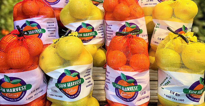 Bags of oranges and grapefruits at Sun Harvest Citrus in Fort Myers, Florida.