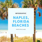 Relax and soak in the fun with this infographic of the 5 best top-rated white-sand beaches in Naples, Florida. Learn more about Naples beaches at MustDo.com Must Do Visitor Guides