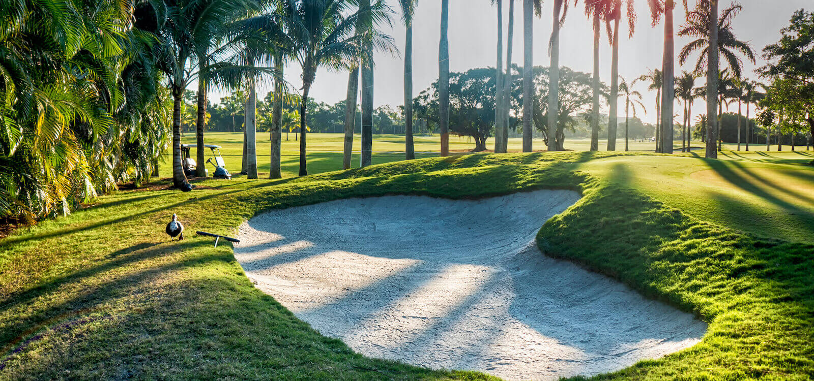 Sandtrap and fairway tropical golf course Naples, Florida