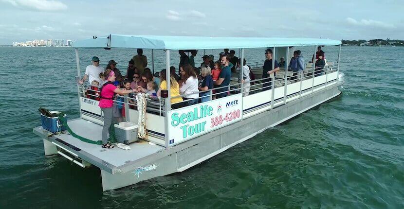 Sarasota Bay Explorers kid-friendly Sea life eco tour boat cruise in Sarasota, Florida