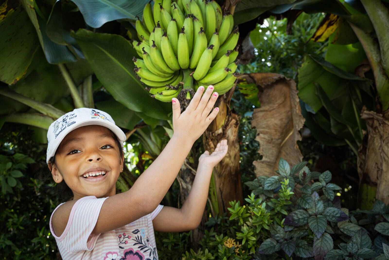 Young girl smiling and motioning towards hanging bananas at Naples Botanical Gardens in Naples, Florida.