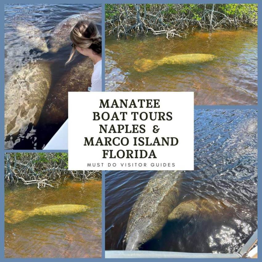 Manatee Boat Tours Naples and Marco Island, Florida.