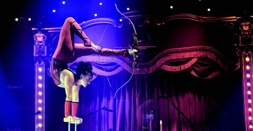 Sarasota Circus Arts Conservatory contortion performance