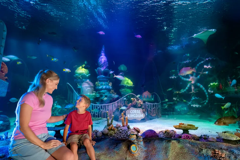 Woman and a young boy sit side by side at an aquarium viewing pane, looking at a colorful coral reef display labeled 'Coral Kingdom' with vibrant fish swimming overhead and decorative sea life beneath the glass.